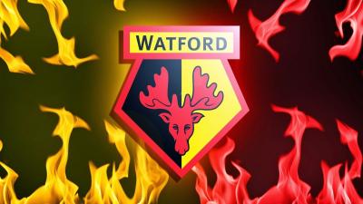 تصویر شماره 13 از آلبوم تصویر زمینه باشگاه فوتبال واتفورد (Watford F.C.)