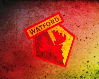 تصویر شماره 18 از آلبوم تصویر زمینه باشگاه فوتبال واتفورد (Watford F.C.)