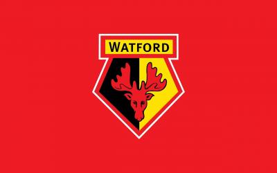 تصویر شماره 8 از آلبوم تصویر زمینه باشگاه فوتبال واتفورد (Watford F.C.)