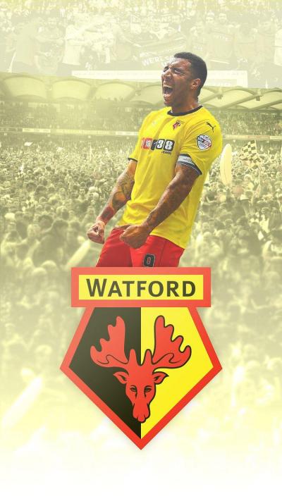 تصویر شماره 9 از آلبوم تصویر زمینه باشگاه فوتبال واتفورد (Watford F.C.)