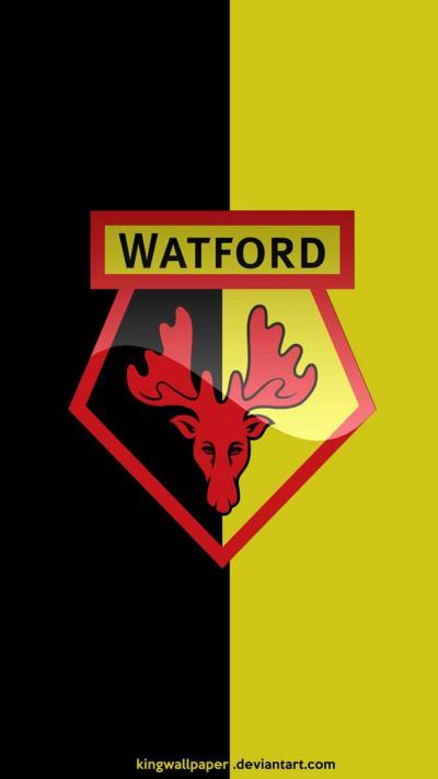 تصویر شماره 19 از آلبوم تصویر زمینه باشگاه فوتبال واتفورد (Watford F.C.)