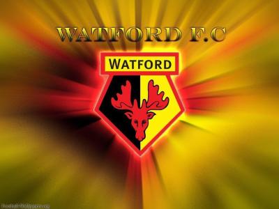 تصویر شماره 14 از آلبوم تصویر زمینه باشگاه فوتبال واتفورد (Watford F.C.)