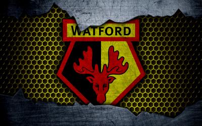 تصویر شماره 23 از آلبوم تصویر زمینه باشگاه فوتبال واتفورد (Watford F.C.)