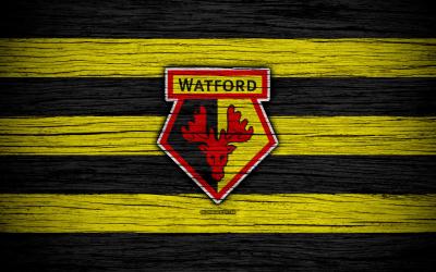 تصویر شماره 21 از آلبوم تصویر زمینه باشگاه فوتبال واتفورد (Watford F.C.)