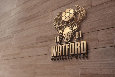 تصویر شماره 24 از آلبوم تصویر زمینه باشگاه فوتبال واتفورد (Watford F.C.)