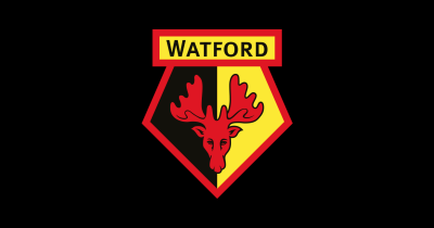 تصویر شماره 4 از آلبوم تصویر زمینه باشگاه فوتبال واتفورد (Watford F.C.)