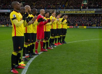 تصویر شماره 15 از آلبوم تصویر زمینه باشگاه فوتبال واتفورد (Watford F.C.)