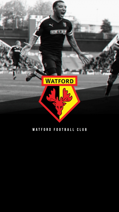 تصویر شماره 11 از آلبوم تصویر زمینه باشگاه فوتبال واتفورد (Watford F.C.)