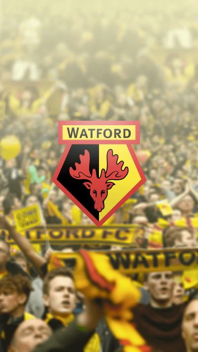 تصویر شماره 5 از آلبوم تصویر زمینه باشگاه فوتبال واتفورد (Watford F.C.)