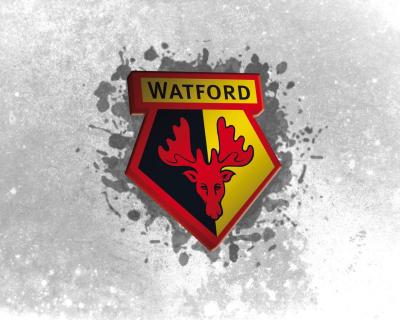 تصویر شماره 30 از آلبوم تصویر زمینه باشگاه فوتبال واتفورد (Watford F.C.)