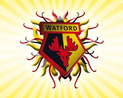 تصویر شماره 31 از آلبوم تصویر زمینه باشگاه فوتبال واتفورد (Watford F.C.)