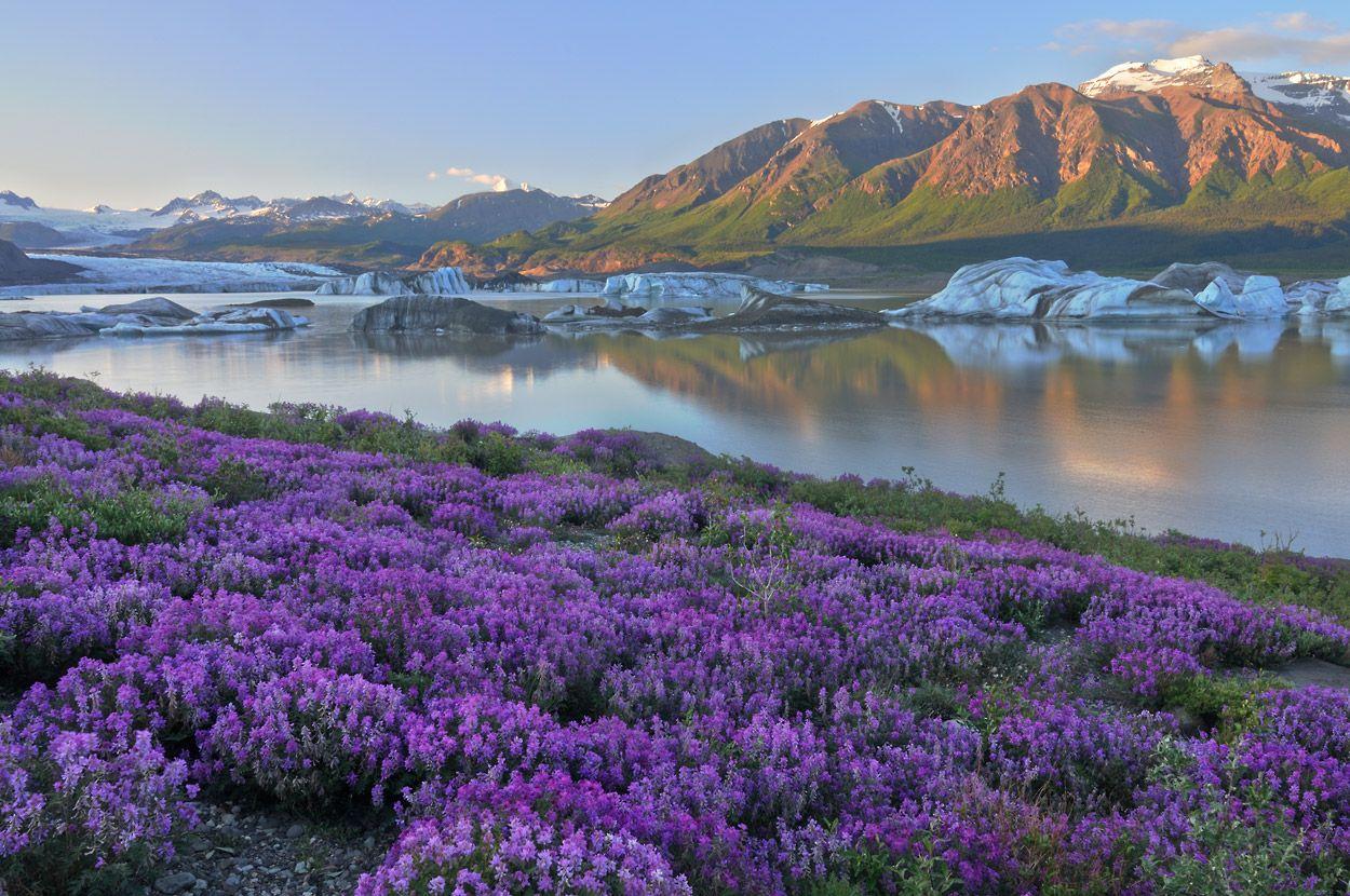 پارک و منطقه حفاظت شده ملی رنگل-سن الیاس (Wrangell-St. Elias National Park & Preserve)