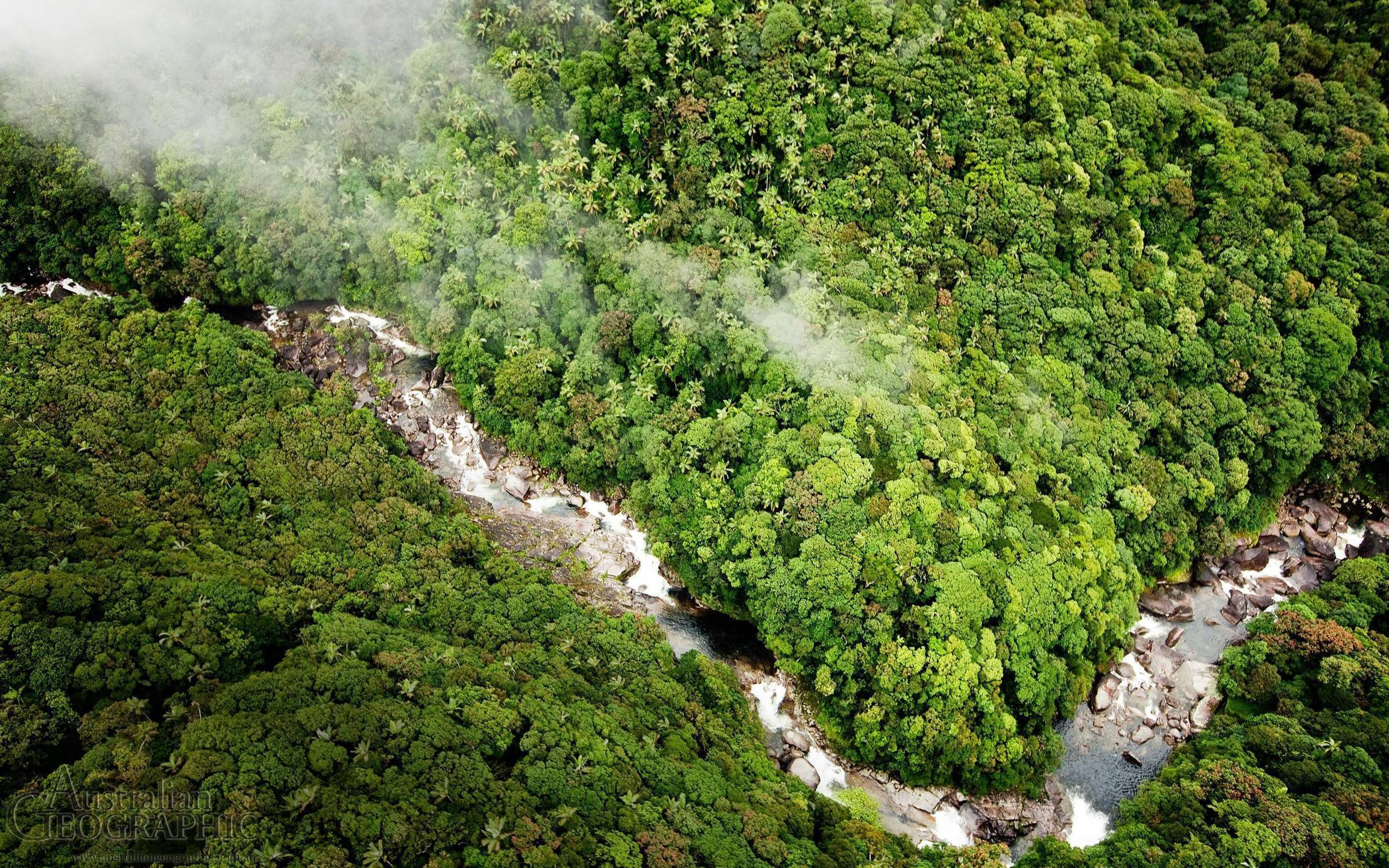 جنگل‌های آمازون (Amazon Rainforest)