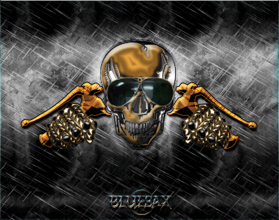 تصویر شماره 9 از آلبوم تصویر زمینه biker skull