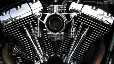 تصویر شماره 6 از آلبوم تصویر زمینه biker skull