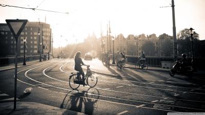 تصویر شماره 23 از آلبوم تصویر زمینه آمستردام (Amsterdam)