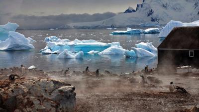 تصویر شماره 17 از آلبوم تصویر زمینه قاره Antarctica