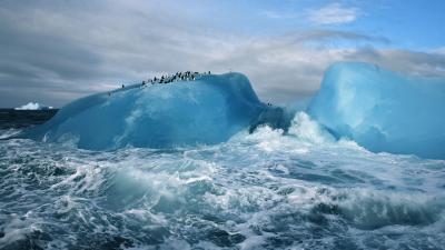 تصویر شماره 1 از آلبوم تصویر زمینه قاره Antarctica