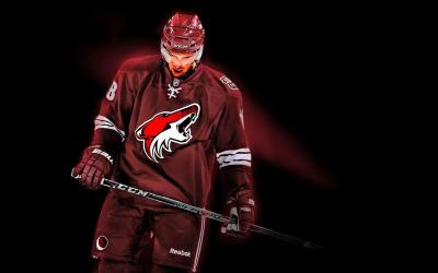 تصویر شماره 15 از آلبوم تصویر زمینه فینیکس کایوتیس (Arizona Coyotes)