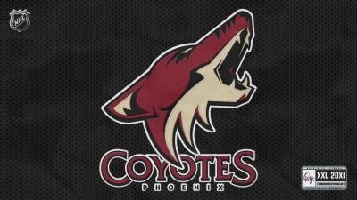 تصویر شماره 48 از آلبوم تصویر زمینه فینیکس کایوتیس (Arizona Coyotes)