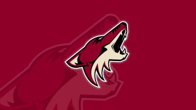 تصویر شماره 3 از آلبوم تصویر زمینه فینیکس کایوتیس (Arizona Coyotes)