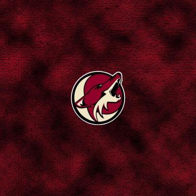 تصویر شماره 51 از آلبوم تصویر زمینه فینیکس کایوتیس (Arizona Coyotes)