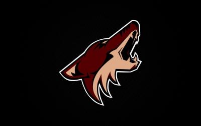 تصویر شماره 49 از آلبوم تصویر زمینه فینیکس کایوتیس (Arizona Coyotes)