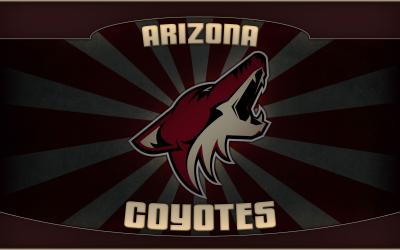 تصویر شماره 7 از آلبوم تصویر زمینه فینیکس کایوتیس (Arizona Coyotes)