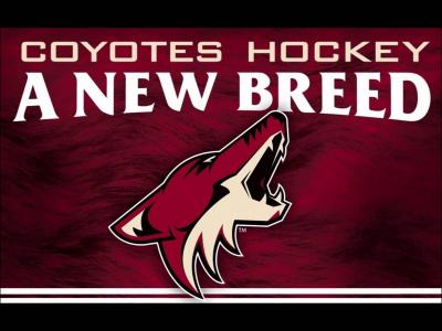 تصویر شماره 44 از آلبوم تصویر زمینه فینیکس کایوتیس (Arizona Coyotes)