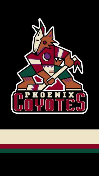 تصویر شماره 29 از آلبوم تصویر زمینه فینیکس کایوتیس (Arizona Coyotes)