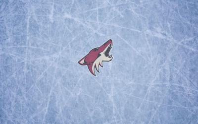 تصویر شماره 39 از آلبوم تصویر زمینه فینیکس کایوتیس (Arizona Coyotes)