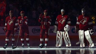 تصویر شماره 20 از آلبوم تصویر زمینه فینیکس کایوتیس (Arizona Coyotes)