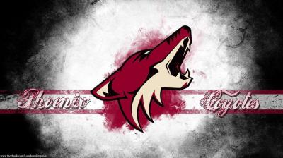 تصویر شماره 38 از آلبوم تصویر زمینه فینیکس کایوتیس (Arizona Coyotes)