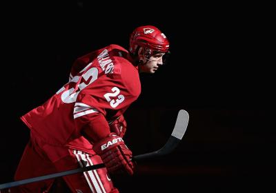 تصویر شماره 40 از آلبوم تصویر زمینه فینیکس کایوتیس (Arizona Coyotes)