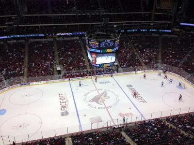 تصویر شماره 41 از آلبوم تصویر زمینه فینیکس کایوتیس (Arizona Coyotes)