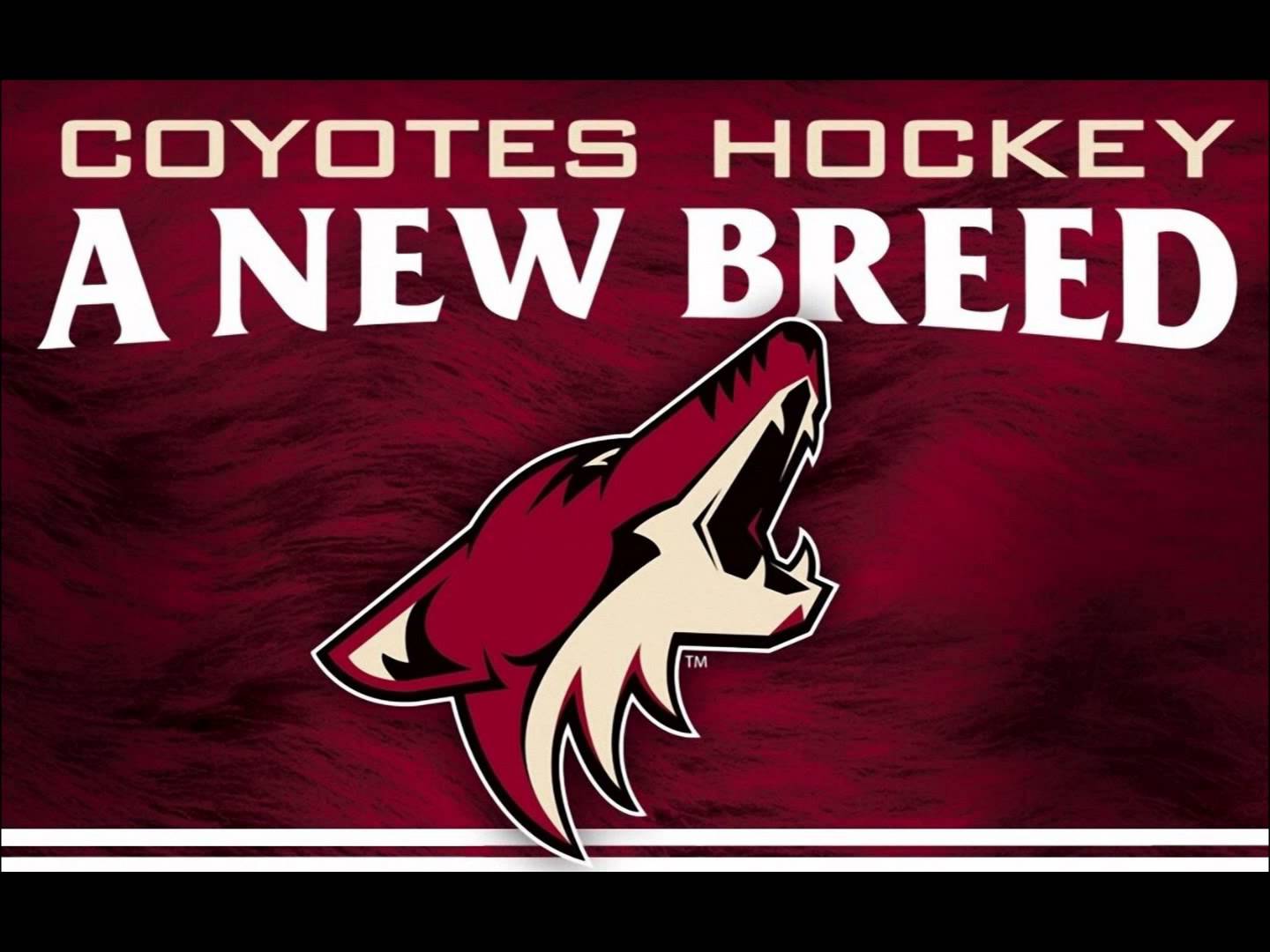 فینیکس کایوتیس (Arizona Coyotes)