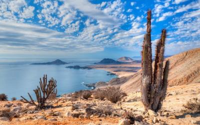 تصویر شماره 4 از آلبوم تصویر زمینه بیابان آتاکاما (Atacama Desert)