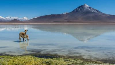 تصویر شماره 3 از آلبوم تصویر زمینه بیابان آتاکاما (Atacama Desert)