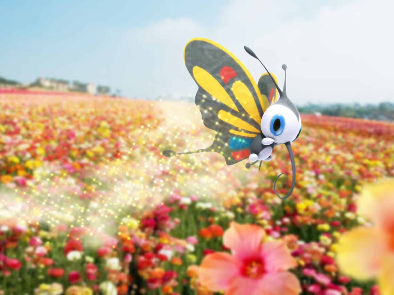 Beautifly HD