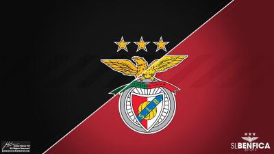 تصویر شماره 13 از آلبوم تصویر زمینه باشگاه فوتبال بنفیکا (S.L. Benfica)