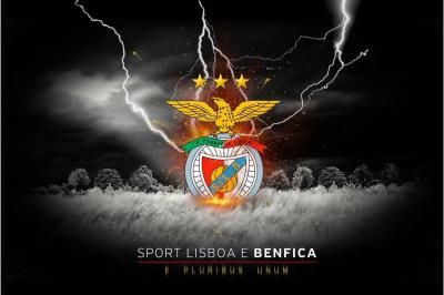 تصویر شماره 15 از آلبوم تصویر زمینه باشگاه فوتبال بنفیکا (S.L. Benfica)