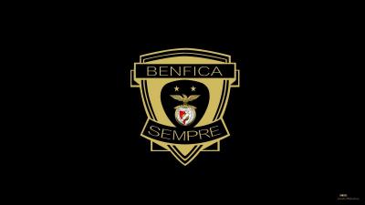 تصویر شماره 17 از آلبوم تصویر زمینه باشگاه فوتبال بنفیکا (S.L. Benfica)