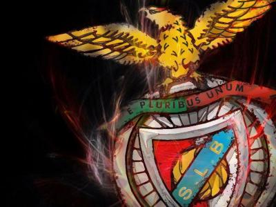 تصویر شماره 43 از آلبوم تصویر زمینه باشگاه فوتبال بنفیکا (S.L. Benfica)