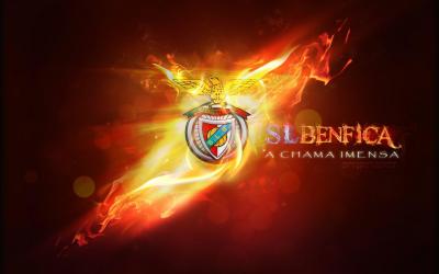 تصویر شماره 28 از آلبوم تصویر زمینه باشگاه فوتبال بنفیکا (S.L. Benfica)