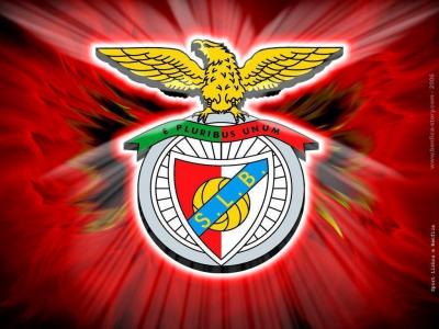 تصویر شماره 18 از آلبوم تصویر زمینه باشگاه فوتبال بنفیکا (S.L. Benfica)