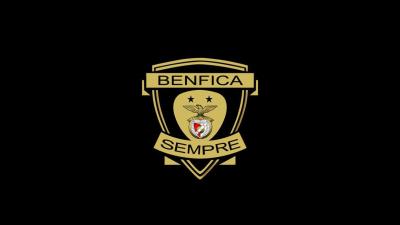 تصویر شماره 7 از آلبوم تصویر زمینه باشگاه فوتبال بنفیکا (S.L. Benfica)