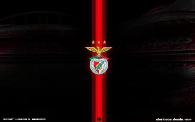 تصویر شماره 25 از آلبوم تصویر زمینه باشگاه فوتبال بنفیکا (S.L. Benfica)