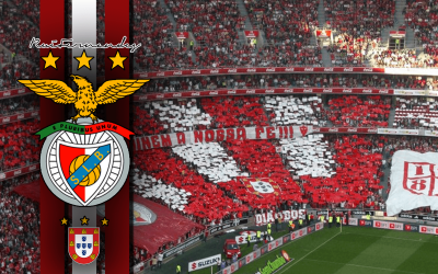 تصویر شماره 58 از آلبوم تصویر زمینه باشگاه فوتبال بنفیکا (S.L. Benfica)