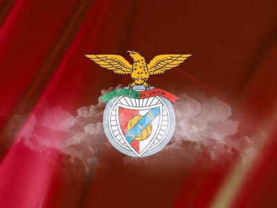 تصویر شماره 26 از آلبوم تصویر زمینه باشگاه فوتبال بنفیکا (S.L. Benfica)