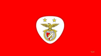 تصویر شماره 21 از آلبوم تصویر زمینه باشگاه فوتبال بنفیکا (S.L. Benfica)